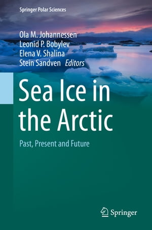 Sea Ice in the Arctic