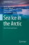 Sea Ice in the Arctic