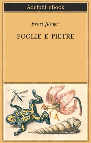 Foglie e pietre