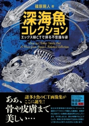 深海魚コレクション ーエックス線CTで探る不思議な姿ー