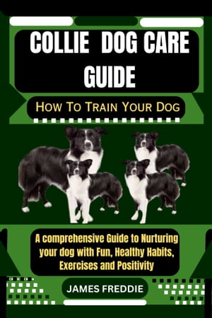Collie dog care guide