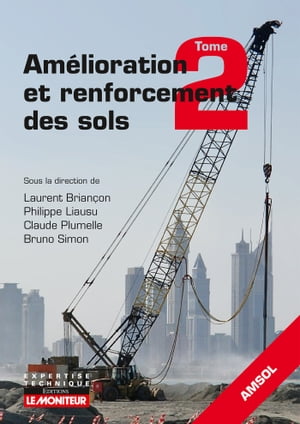 Am?lioration et renforcement des sols - Tome 2