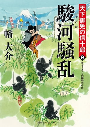 駿河騒乱 天下御免の信十郎9【電子書籍】[ 幡大介 ]