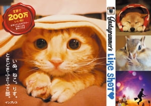 Instagrammer's Like Shot いぬ。ねこ。りす。ときどきふさふさ部。