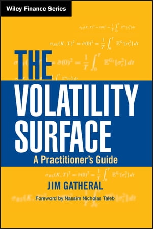 The Volatility Surface