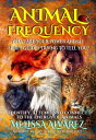 ŷKoboŻҽҥȥ㤨Animal Frequency: What Are Your Power Animal Spirit Guides Trying to Tell You? Identify, Attune, and Connect to the Energy of AnimalsŻҽҡ[ Melissa Alvarez ]פβǤʤ1,334ߤˤʤޤ