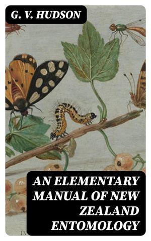 An Elementary Manual of New Zealand Entomology