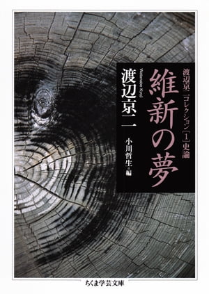 維新の夢　──渡辺京二コレクション１　史論