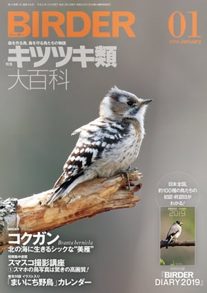 BIRDER2019年1月号