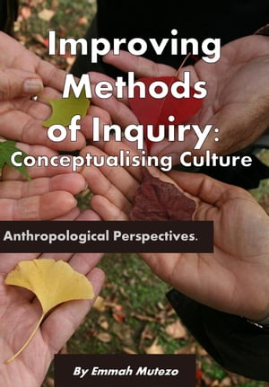 Improving Methods of Inquiry: Conceptualising Culture