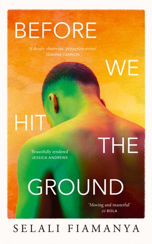 Before We Hit the Ground【電子書籍】[ Selali Fiamanya ]