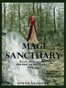 Magi Sanctuary: Book One of the Heirs of the Mag