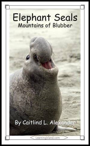 Elephant Seals: Mountains of Blubber