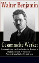 Gesammelte Werke: Literarische und ?sthetische Essays + Rezensionen + Satiren Autobiografische Schriften - 600 Titel in einem Buch