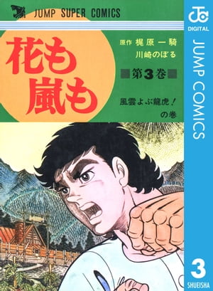 花も嵐も 3【電子書籍】[ 梶原一騎 ]