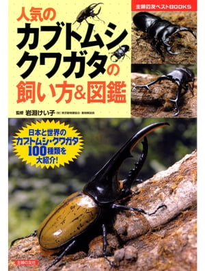 人気のカブトムシ クワガタの飼い方＆図鑑 日本と世界のカブトムシ・クワガタ100種類を大紹介！【電子書籍】[ 岩淵 けい子 ]