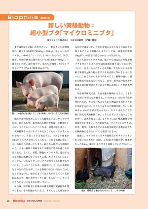 新しい実験動物： 超小型ブタ マイクロミニブタ 【電子書籍】[ 伊藤勝彦 ]