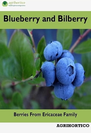 Blueberry and Bilberry Berries from Ericaceae Fa