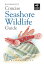 Concise Seashore Wildlife Guide