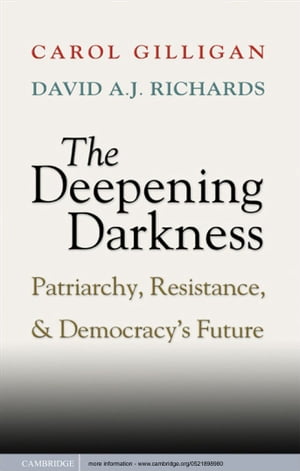 The Deepening Darkness Patriarchy, Resistance, and Democracy's Future