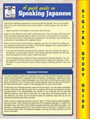 Japanese Grammar ( Blokehead Easy Study Guide)