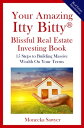 ŷKoboŻҽҥȥ㤨Your Amazing Itty Bitty? Blissful Real Estate Investing BookŻҽҡ[ Moneeka Sawyer ]פβǤʤ323ߤˤʤޤ