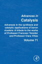 Advances in the Synthesis and Catalytic Applications of Boron Cluster A tribute ...