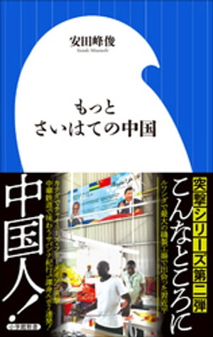 もっとさいはての中国（小学館新書）