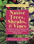 Native Trees, Shrubs, and Vines