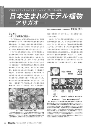 NBRP紹介 : 日本生まれのモデル植物 ーアサガオー【電子書籍】[ 仁田坂英二 ]