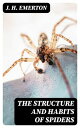 The Structure and Habits of Spiders