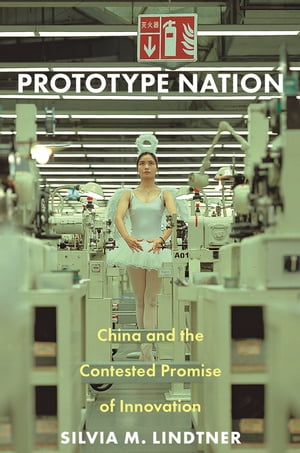 Prototype Nation