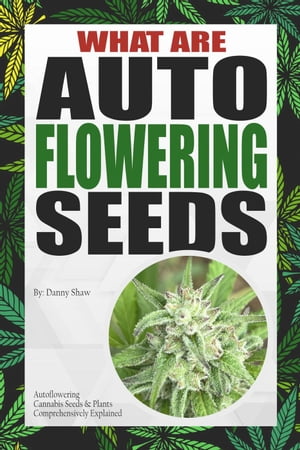 What Are Autoflowering Seeds