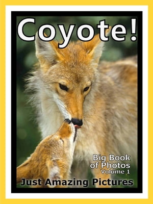 Just Coyote Photos! Big Book of Photographs & Pictures of Coyotes, Vol. 1