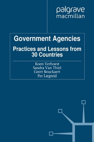 Government Agencies Practices and Lessons from 30 Countries