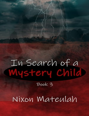 In Search of a Mystery Child Book 3【電子書