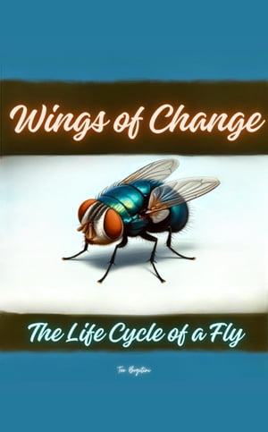 Wings of Change: The Life Cycle of a Fly