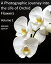 A Photographic Journey Into The Life of Orchid Flowers Volume 1Żҽҡ[ Adelaide Spencer ]