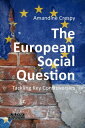 The European Social Question Tackling Key Controversies