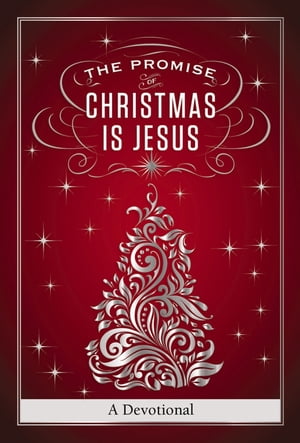 The Promise of Christmas is Jesus