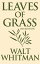 Leaves of Grass: 1855 EditionŻҽҡ[ Walt Whitman ]