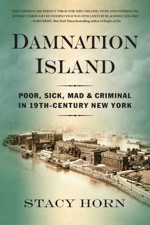 Damnation Island Poor, Sick, Mad, and Criminal in 19th-Century New YorkŻҽҡ[ Stacy Horn ]