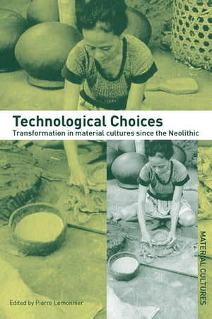 Technological Choices