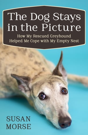 The Dog Stays in the Picture How My Rescued Greyhound Helped Me Cope with My Empty Nest