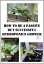 How to Be a passive but successful hydroponics grower