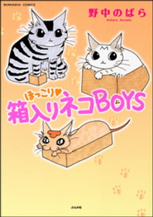 ほっこり・箱入りネコBOYS 1