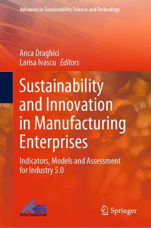 Sustainability and Innovation in Manufacturing Enterprises