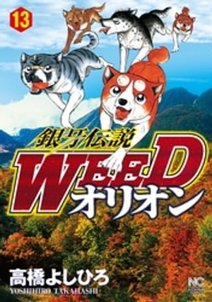 銀牙伝説WEEDオリオン 13