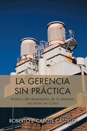 La Gerencia Sin Práctica