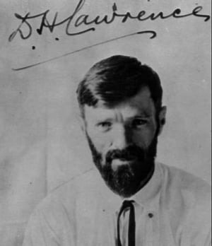 ŷKoboŻҽҥȥ㤨Women in LoveŻҽҡ[ D H Lawrence ]פβǤʤ129ߤˤʤޤ